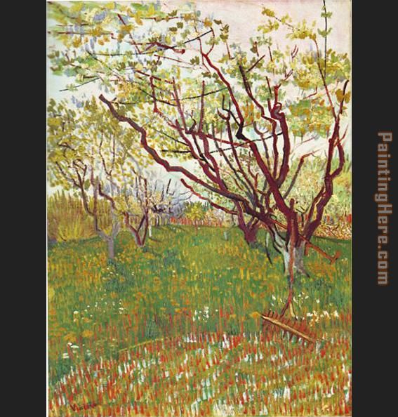 Vincent van Gogh Cherry Tree